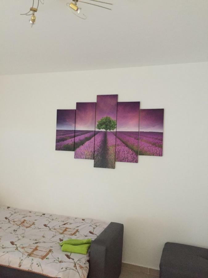Apartment Brno プーラ エクステリア 写真